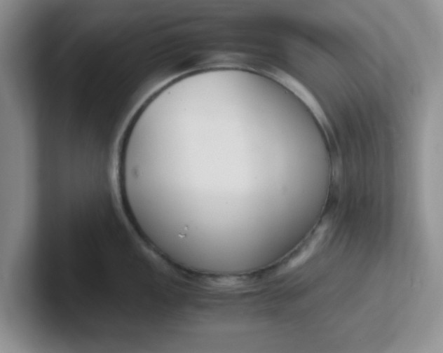 X0000102301149200808081539