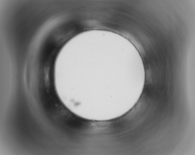 X0000102301150200808081539