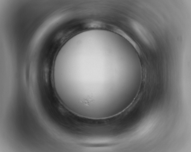 X0000102301151200808081539