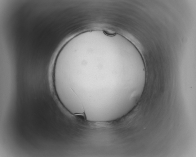 X0000102301152200808081539