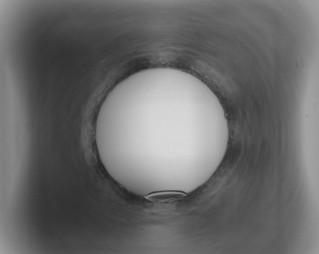 X0000102301153200808081538