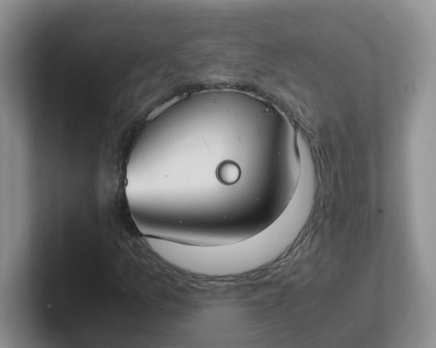 X0000102301157200808081538