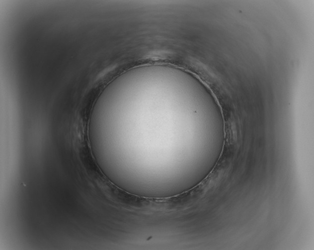 X0000102301158200808081538