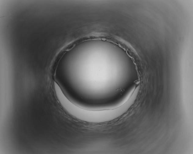 X0000102301160200808081538