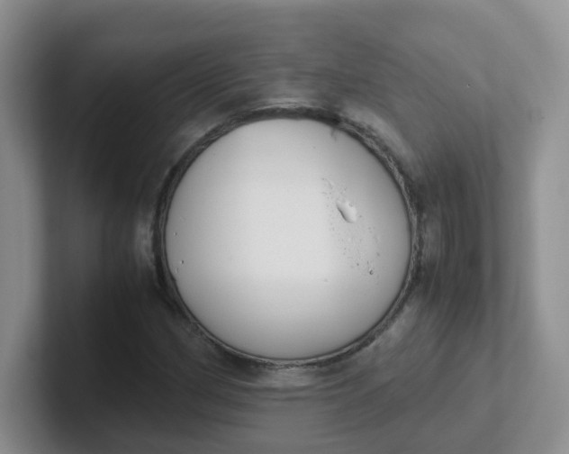 X0000102301162200808081538