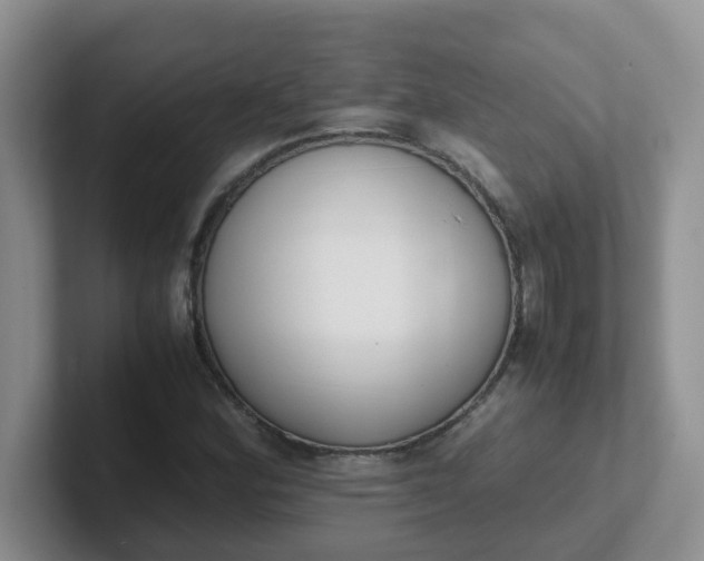 X0000102301164200808081538