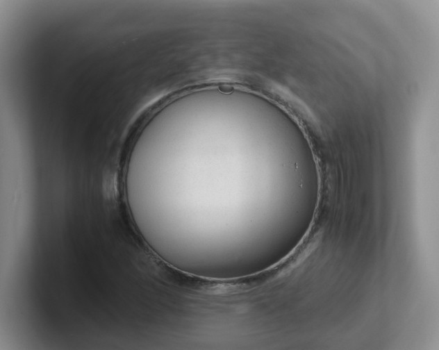 X0000102301166200808081538