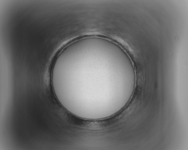 X0000102301167200808081538