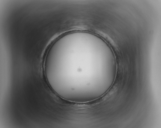 X0000102301168200808081538