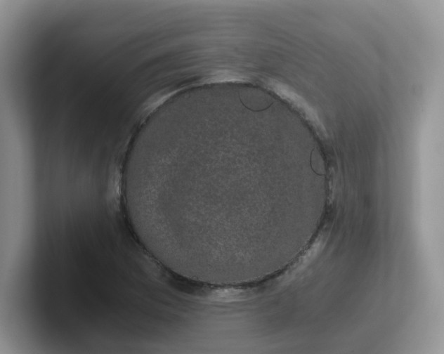 X0000102301169200808081538