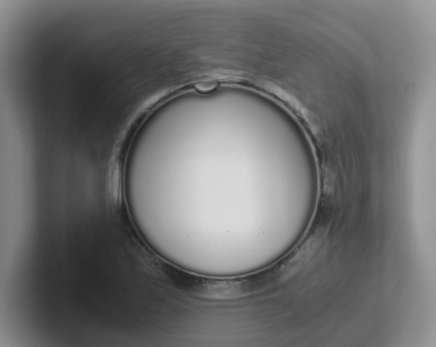 X0000102301171200808081538