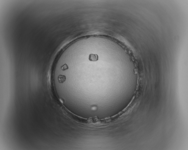 X0000102301173200808081538