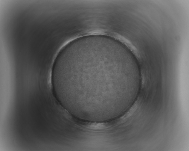 X0000102301174200808081538