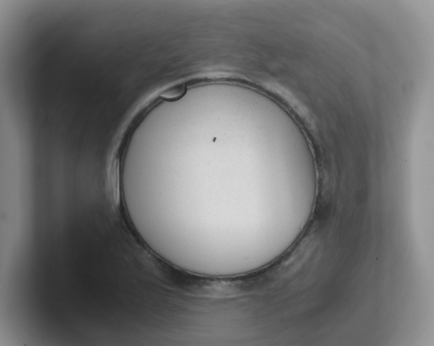 X0000102301175200808081538