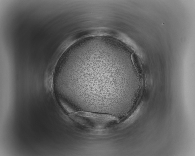 X0000102301177200808081538