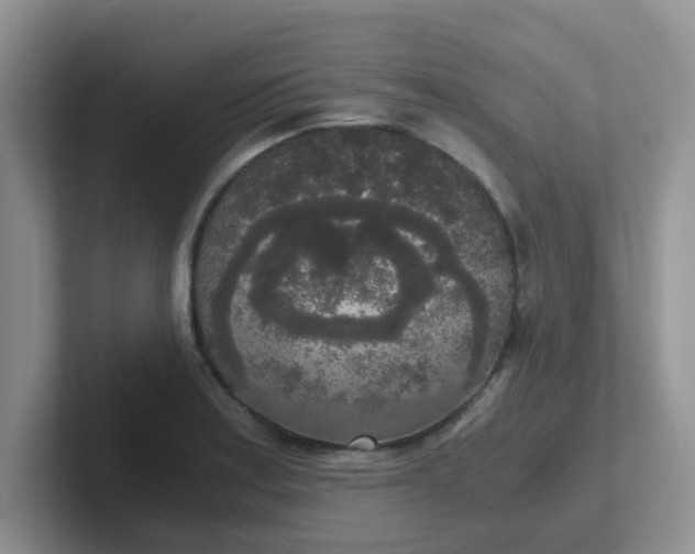 X0000102301179200808081538