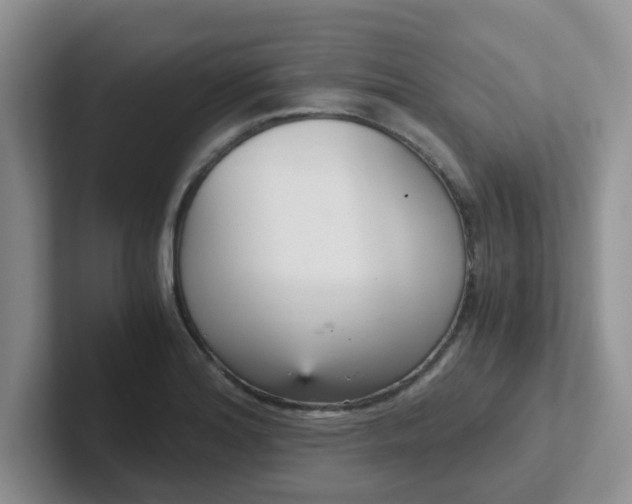 X0000102301180200808081538