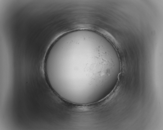 X0000102301182200808081538