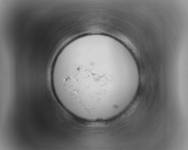 X0000102301183200808081538