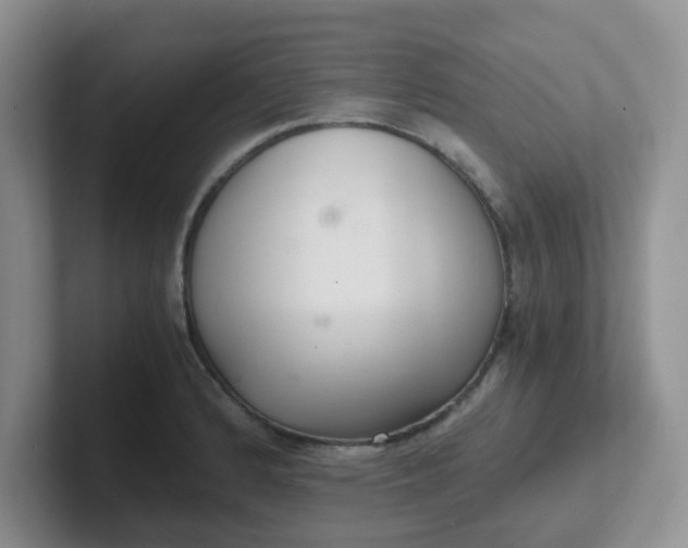 X0000102301184200808081538