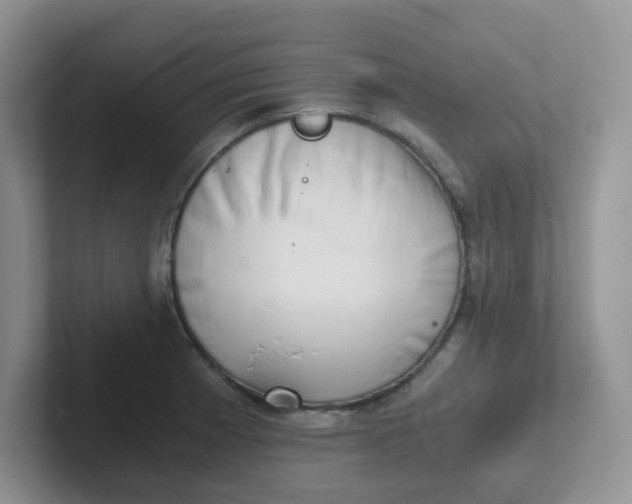 X0000102301185200808081538