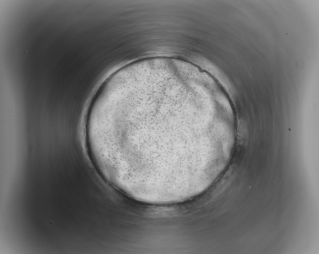 X0000102301187200808081538