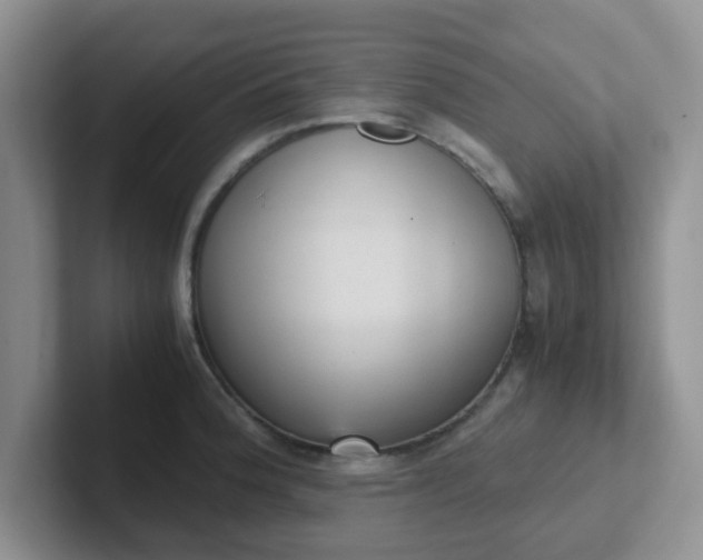 X0000102301188200808081538