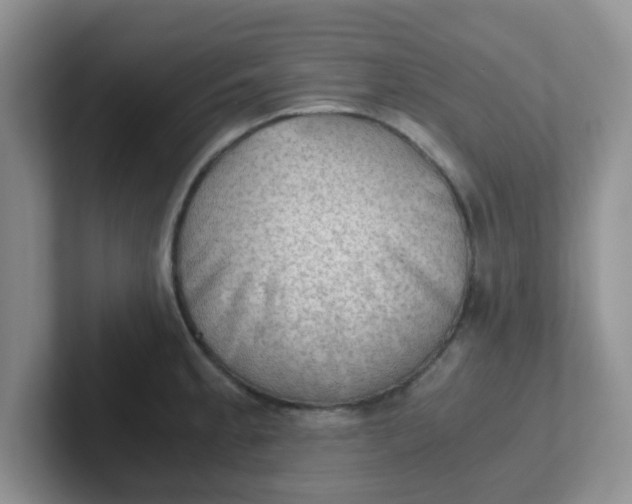 X0000102301189200808081538