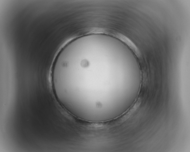 X0000102301190200808081538