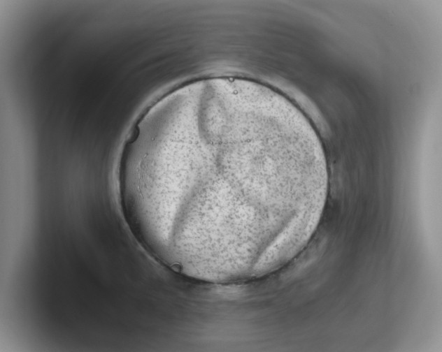 X0000102301191200808081538