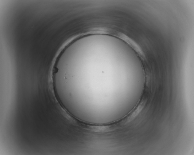 X0000102301192200808081538