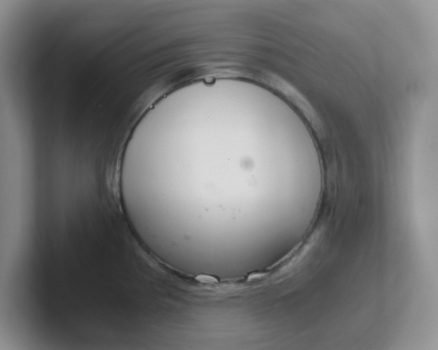 X0000102301193200808081538