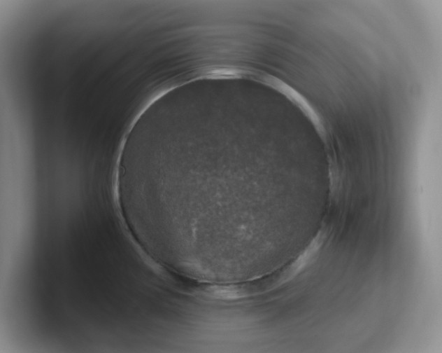 X0000102301194200808081538