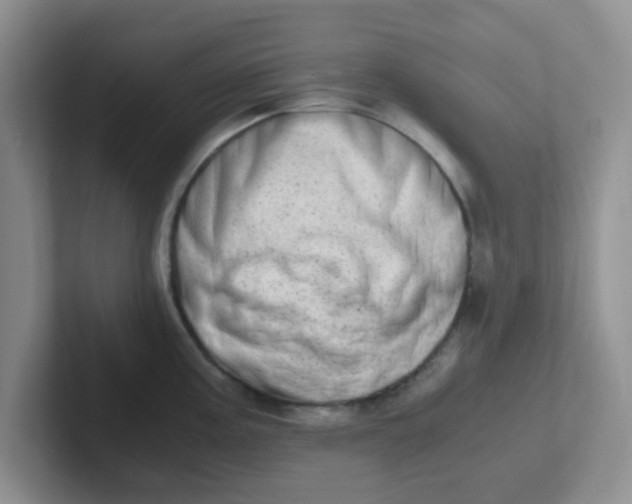 X0000102301195200808081538