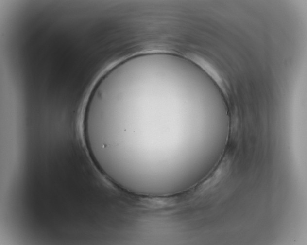 X0000102301197200808081538