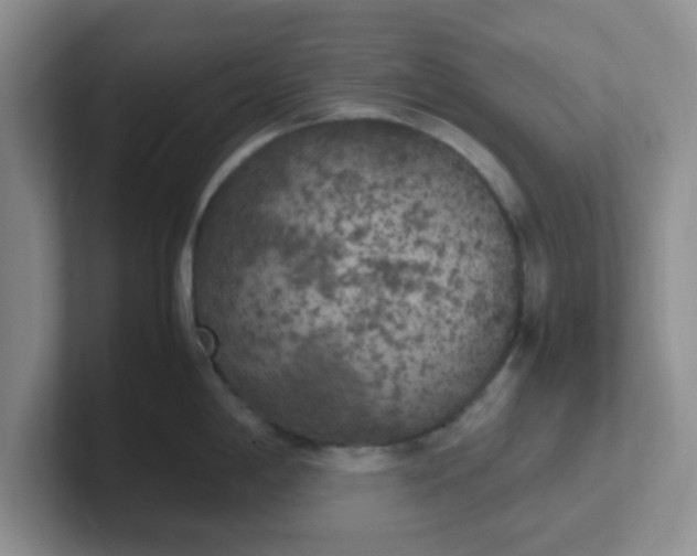 X0000102301198200808081538