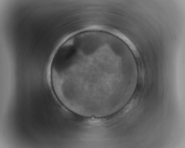 X0000102301199200808081538