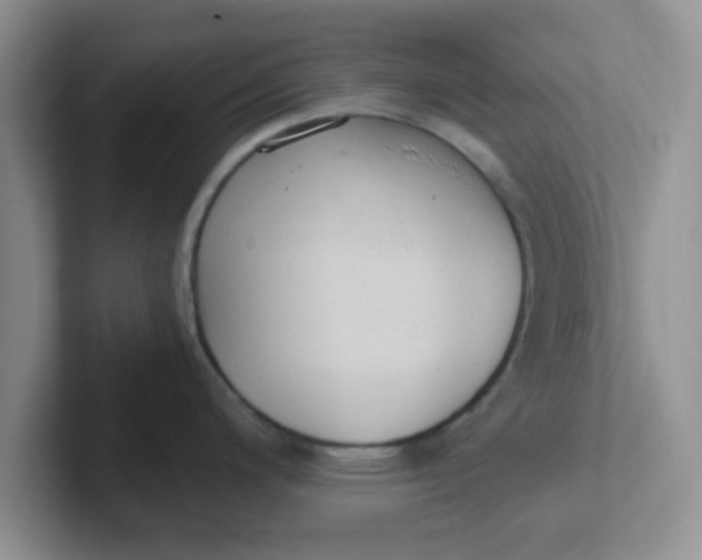 X0000102301200200808081538