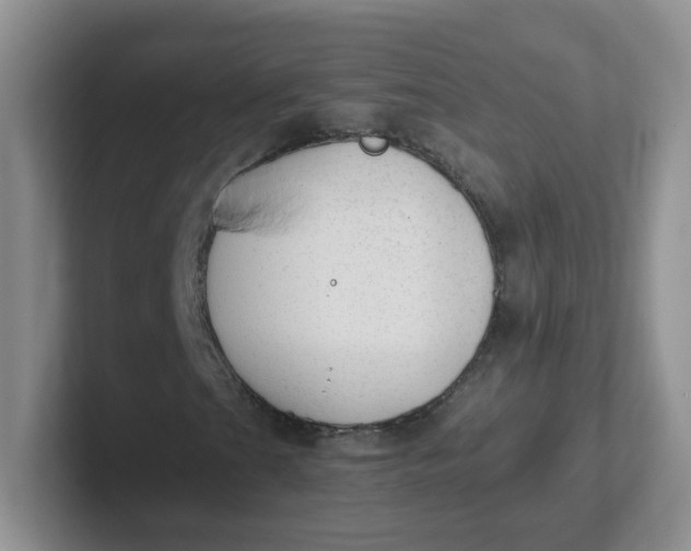 X0000102301201200808081537