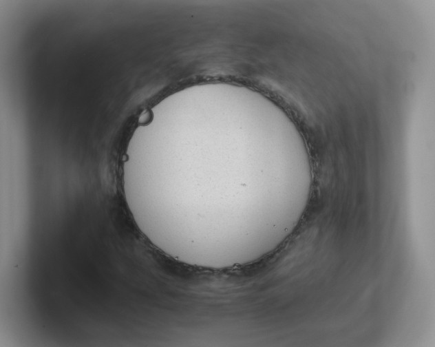 X0000102301207200808081537