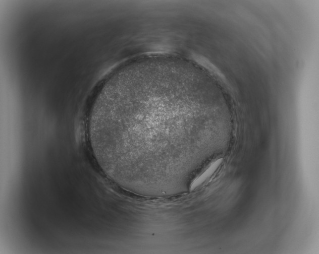 X0000102301208200808081537