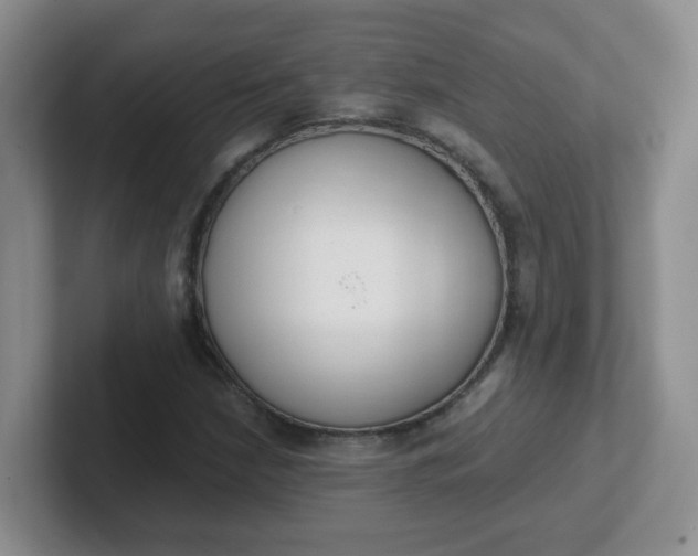 X0000102301210200808081537