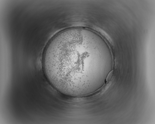 X0000102301212200808081537