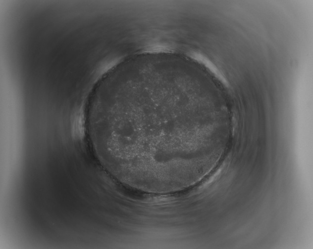 X0000102301213200808081537