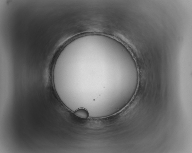 X0000102301215200808081537