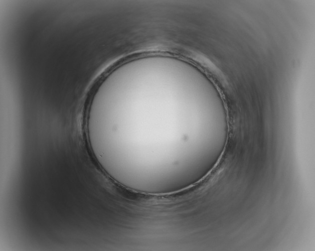 X0000102301216200808081537