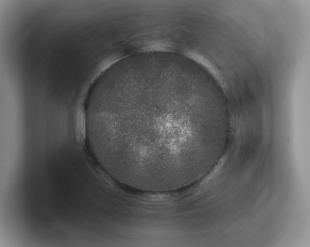 X0000102301219200808081537