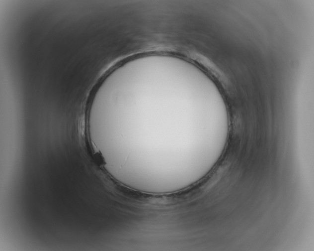 X0000102301220200808081537