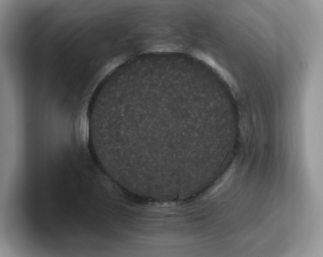 X0000102301221200808081537