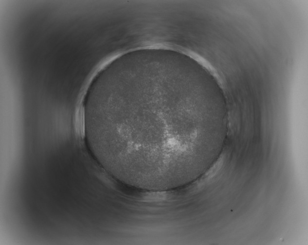 X0000102301223200808081537